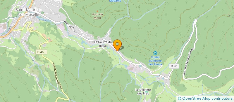 localisation de l'entreprise DEBARDAGE & SCIAGE COLIN  SAINT-MAURICE-SUR-MOSELLE