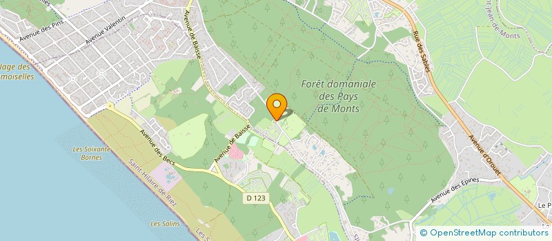 localisation de l'entreprise DEBREUILLE INDIVISION à SAINT-JEAN-DE-MONTS