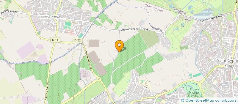 localisation de l'entreprise DECAMP  SAINT-CYPRIEN