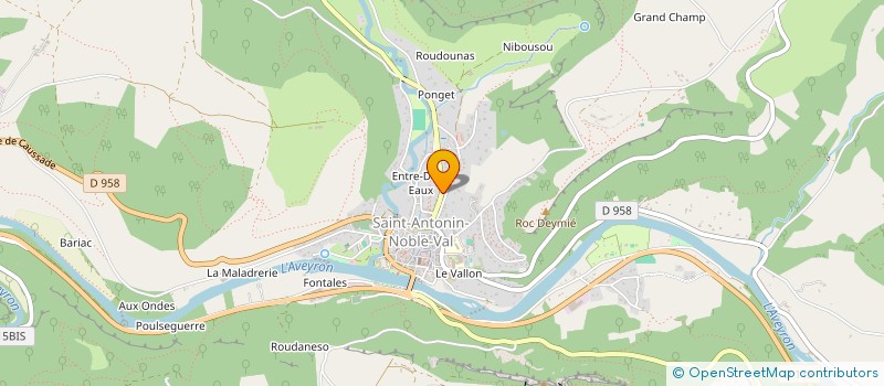 localisation de l'entreprise DECARBON'IT  SAINT-ANTONIN-NOBLE-VAL