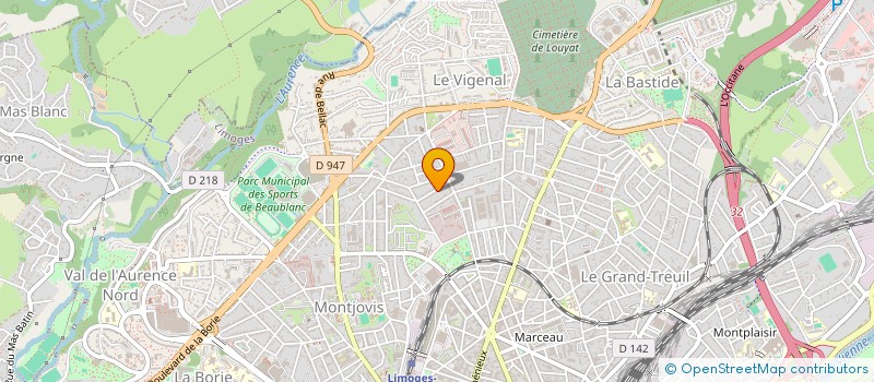 localisation de l'entreprise DECHAUD-MOUYSSINAT à LIMOGES