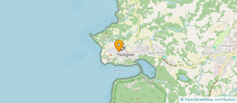 localisation de l'entreprise DECLIC INSERTION à TSINGONI