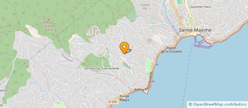 localisation de l'entreprise DECOIKOS à SAINTE-MAXIME