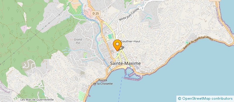 localisation de l'entreprise DECORATION JARDIN MAISON à SAINTE-MAXIME