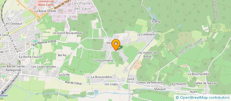 localisation de l'entreprise DECOUX PAYSAGE  CHINON