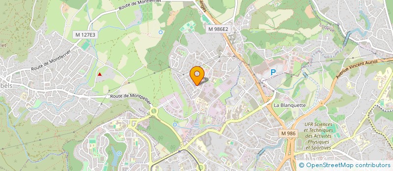 localisation de l'entreprise DEEP VECTOR STUDIO  LYON