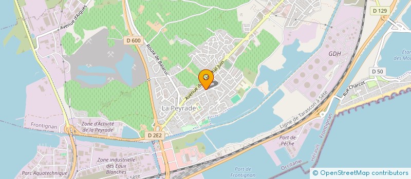 localisation de l'entreprise DEFIFEU à FRONTIGNAN