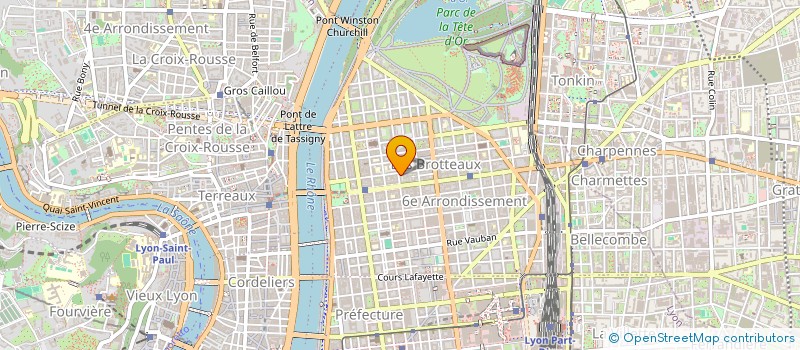 localisation de l'entreprise DEGENEVE à LYON