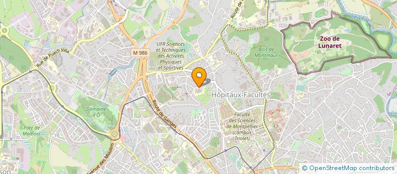 localisation de l'entreprise DEIBUS STUDIOS FRANCE à MONTPELLIER