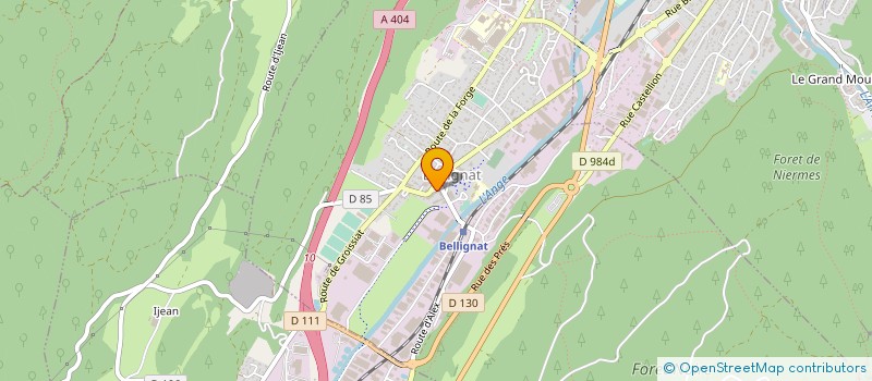 localisation de l'entreprise DEL ENERGY à BELLIGNAT