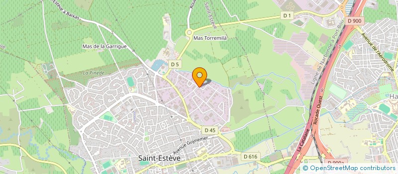 localisation de l'entreprise DEL NET SERVICES à SAINT-ESTEVE