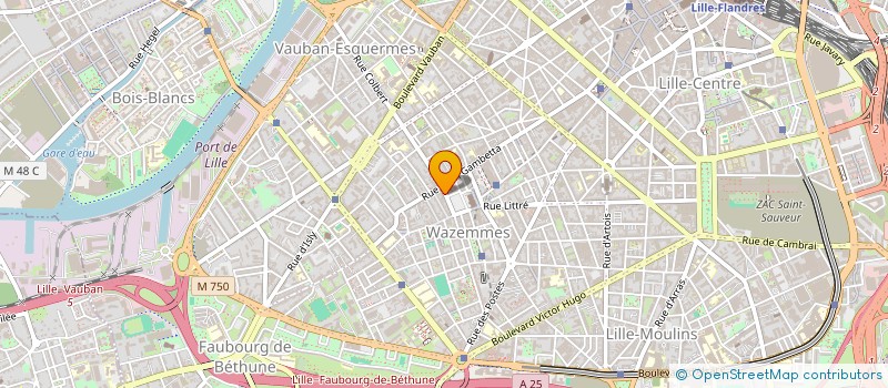 localisation de l'entreprise DEL VERA à LILLE