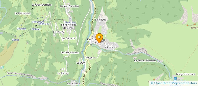 localisation de l'entreprise DELACHAT FRERES  SAINT-GERVAIS-LES-BAINS