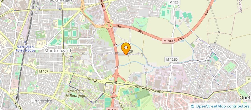 localisation de l'entreprise DELACLAVELL  DIJON