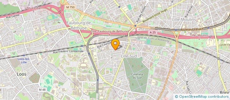 localisation de l'entreprise DELAM-IMMO à LILLE