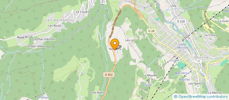 localisation de l'entreprise DELAVAY PHILIPPE  LES GETS