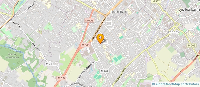 localisation de l'entreprise DELEPIERRE à HEM