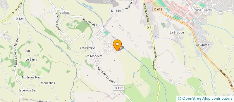 localisation de l'entreprise DELEPLANQUE ET CIE  SALIES