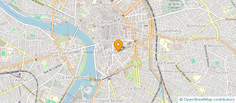 localisation de l'entreprise DELF'IN  TOULOUSE