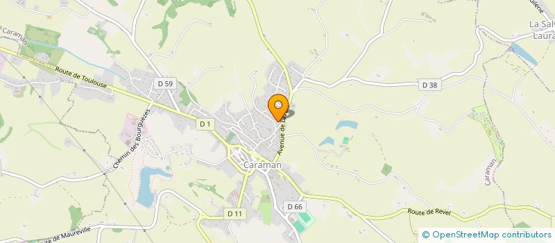 localisation de l'entreprise DELF31 à CARAMAN