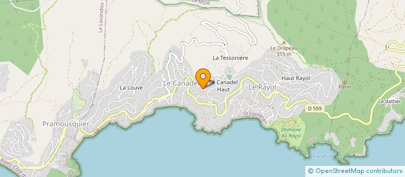 localisation de l'entreprise DELFIRO à RAYOL-CANADEL-SUR-MER