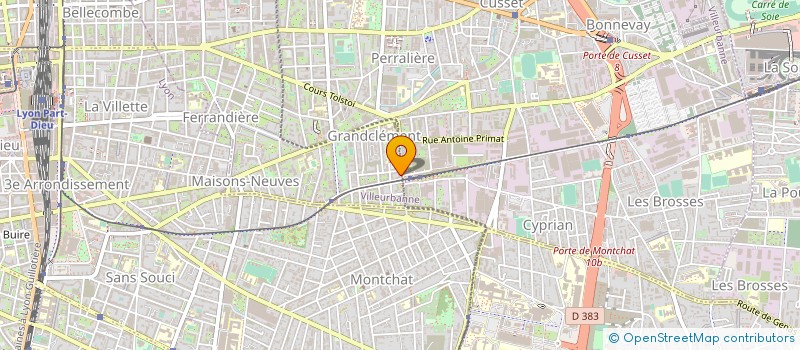 localisation de l'entreprise DELICE DU PAIN à VILLEURBANNE