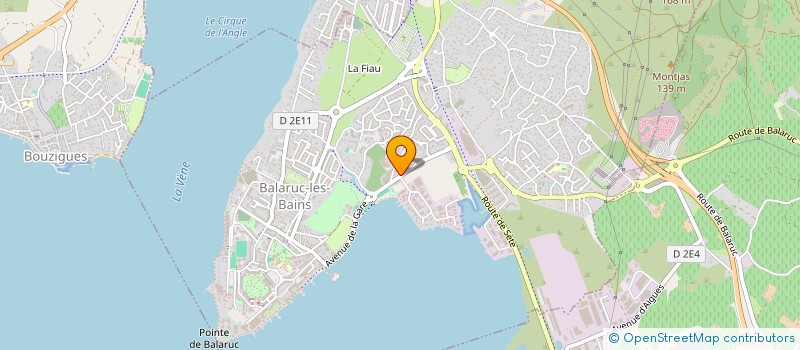 localisation de l'entreprise DELICES D'AUVERGNE ET D'AILLEURS  BALARUC-LES-BAINS