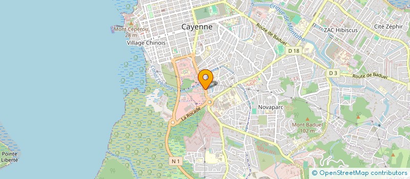 localisation de l'entreprise DELICES DE TESSA  CAYENNE