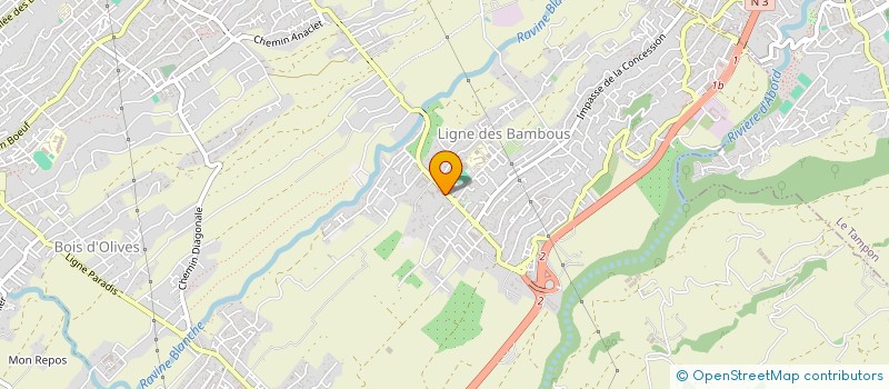 localisation de l'entreprise DELICES DES BAMBOUS à SAINT-PIERRE