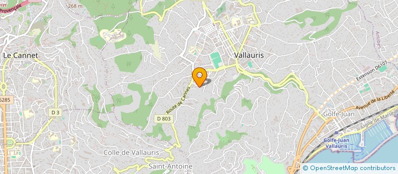 localisation de l'entreprise DELICES DES PAINS à VALLAURIS