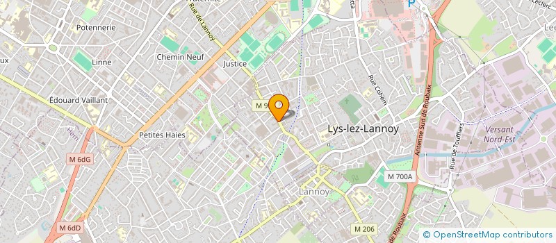 localisation de l'entreprise DELICES FOOD  LYS LEZ LANNOY