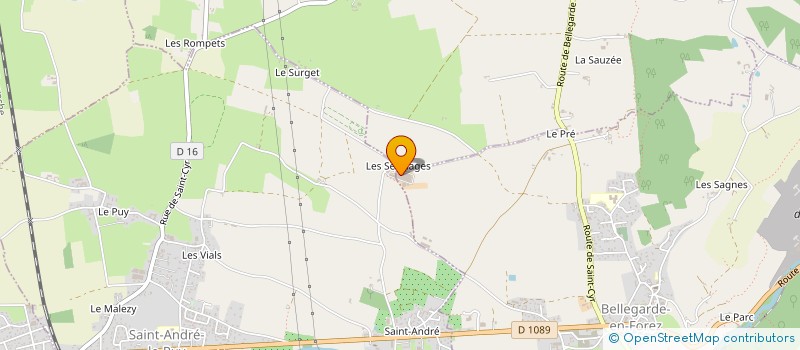 localisation de l'entreprise DELICES FOREZIENS  SAINT-CYR-LES-VIGNES