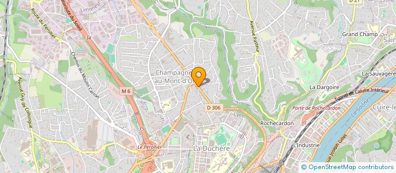 localisation de l'entreprise DELILLE  CHAMPAGNE-AU-MONT-D'OR