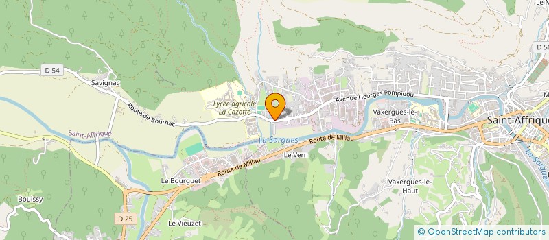 localisation de l'entreprise DELINAGE  SAINT-AFFRIQUE