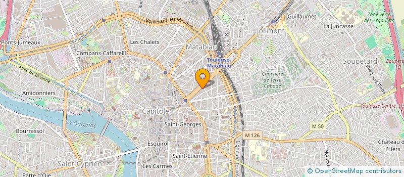 localisation de l'entreprise DELIRIUM CAFE TOULOUSE  TOULOUSE