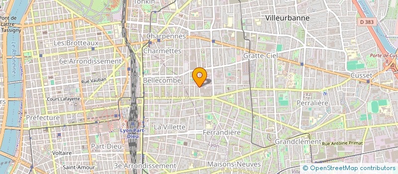 localisation de l'entreprise DELIZIOSA  VILLEURBANNE