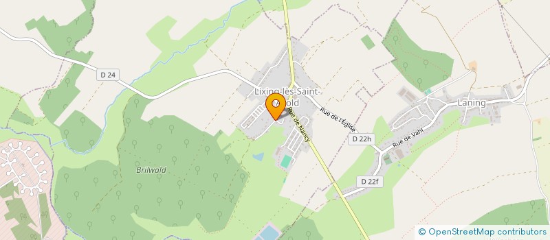 localisation de l'entreprise DELLES ENERGIES  LANING