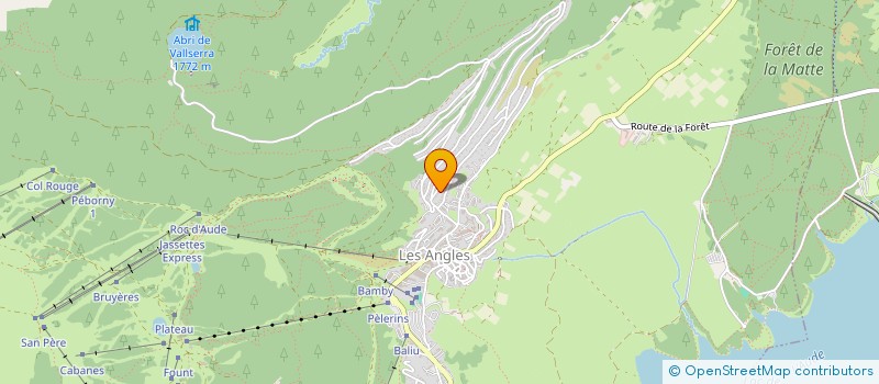 localisation de l'entreprise DELMAS  LES ANGLES