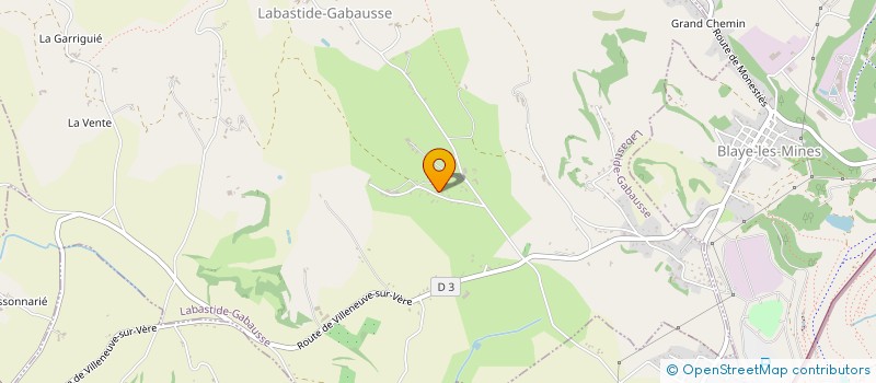 localisation de l'entreprise DELMAS GORDILLO  LABASTIDE-GABAUSSE