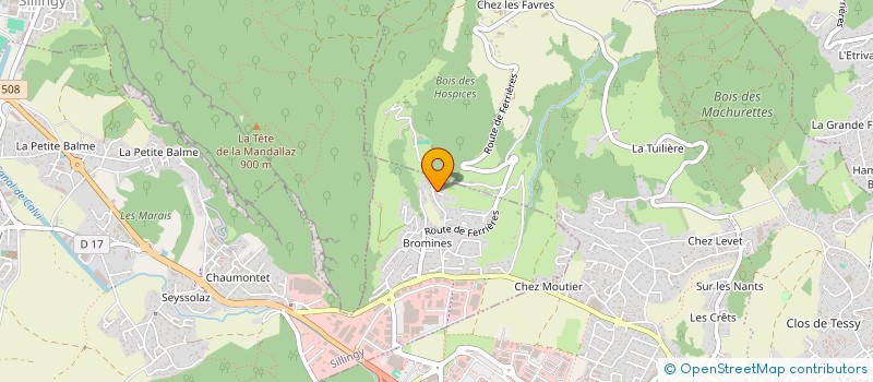 localisation de l'entreprise DELMAS INVESTISSEMENT  SILLINGY