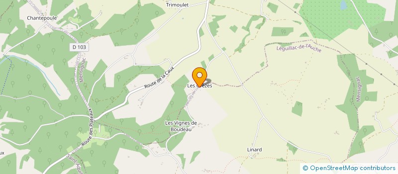 localisation de l'entreprise DELORD BOIS INVESTISSEMENTS  TOCANE-SAINT-APRE