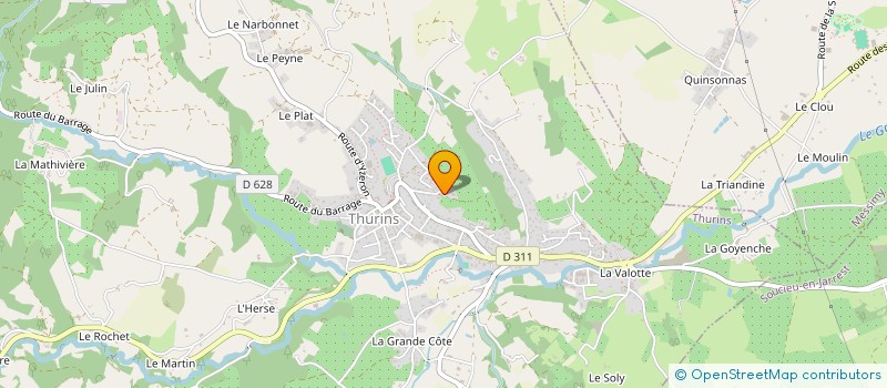 localisation de l'entreprise DELORME STEPHANE  THURINS