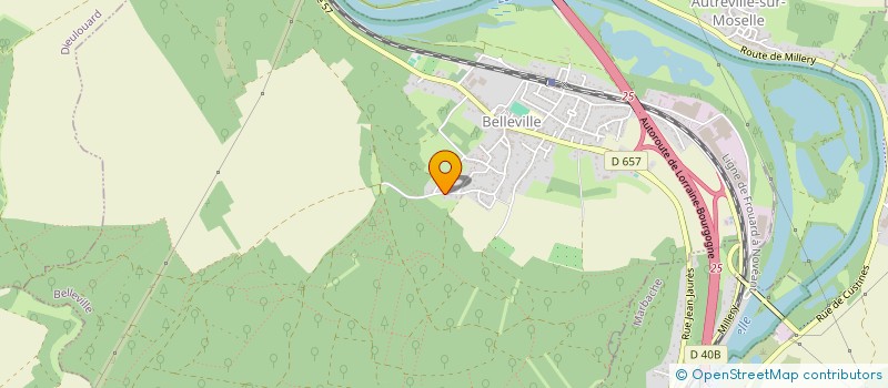 localisation de l'entreprise DELOTIA  BELLEVILLE