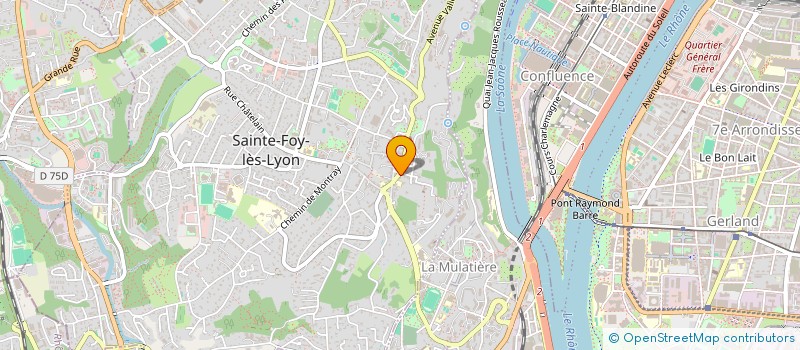 localisation de l'entreprise DELOY BEAUTE à SAINTE-FOY-LES-LYON