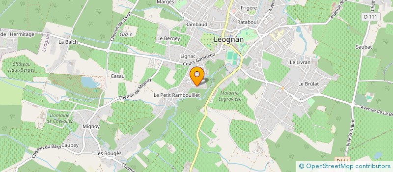 localisation de l'entreprise DELP'ADAPT  LEOGNAN