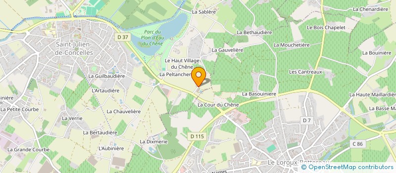 localisation de l'entreprise DELPE INVEST  SAINT-JULIEN-DE-CONCELLES