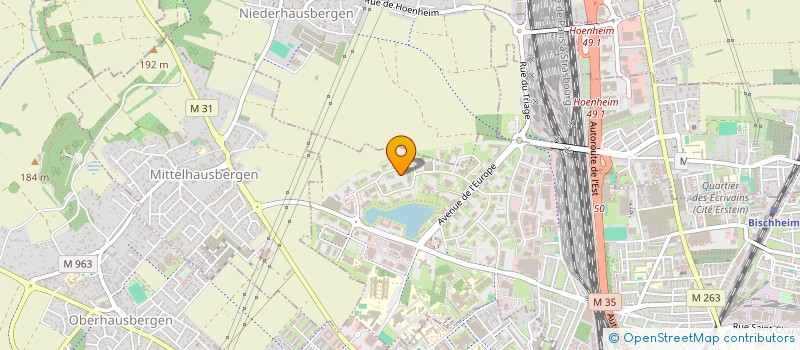 localisation de l'entreprise DELPECH DEVELOPPEMENT  SCHILTIGHEIM