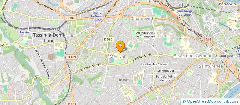 localisation de l'entreprise DELPHI ADDICT SAS à LYON
