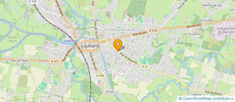 localisation de l'entreprise DELPHIMO à LOUHANS