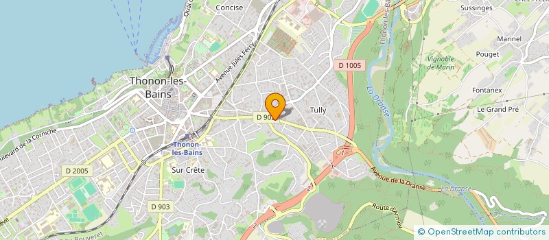 localisation de l'entreprise DELPHINE DISTRIBUTION PRODUITS POUR PIZZA à THONON-LES-BAINS